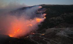Çine'deki orman yangınında yaralanan kişi yaşam savaşını kaybetti