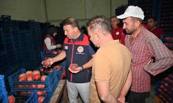 Çivril'de Şeftali Üretiminin Aşamaları Yerinde İncelendi