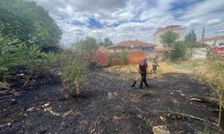 Çorum'da çıkan yangın, evleri tehditten kurtardı