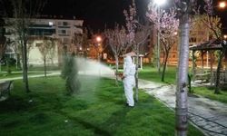 Çorum'da Vektörel Mücadele Devam Ediyor