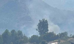 Dalaman'da orman yangını paniği