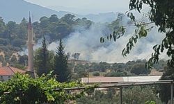 Dalaman'daki orman yangını hızlı müdahale ile söndürüldü