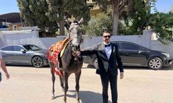 Damat gelin almaya atla gitti, trafik planı bozdu