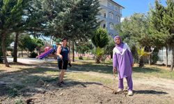 Defne'de ağaç kesimine vatandaşlardan sert tepki