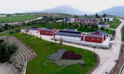 Denizli Büyükşehir Belediyesi, Barınak İddialarına Karşı Suç Duyurusunda Bulundu