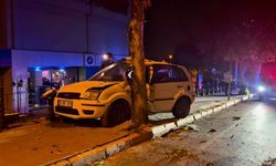 Denizli'de kontrolden çıkan araç, ağaçla çarpışarak durabildi: 1 yaralı