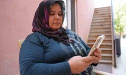 Denizli'de sokak hayvanlarına zehirli yem bırakıldığı iddiası