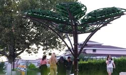 Denizli'de Yenilenebilir Enerjiyle Buluşan 'Solar Ağaç'