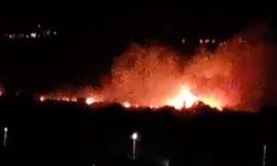 Denizli'nin Sarayköy ilçesinde geniş çaplı yangın alarmı