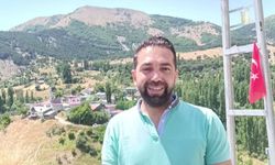 Dev tavşan far ışığını görünce kaçtı