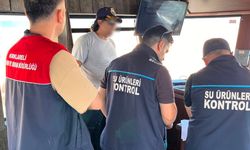 Dijital İzleme ile Balıkçılıkta Yenilik
