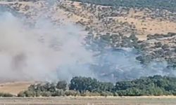 Diyarbakır'da Kırsal Alanda Yangın Kontrol Altına Alındı