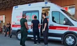 Diyarbakır'da motosiklet-kamyonet çarpışması: 1 ölü, 1 yaralı