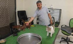 Diyarbakır'ın Güvercin Otelinde Bulut'un Farklı Tercihleri