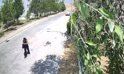 Dolandırıcı kadın, 81 yaşındaki vatandaşı hedef alırken yakalandı