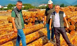 Dörtyol Orman İşletme Müdürlüğü'nde Çalışmalar Gözden Geçirildi