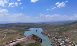 Dron ile kaydedilen kartal ve yılanın gökyüzündeki dansı