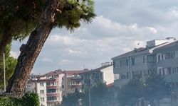 Düğün konvoyunda atılan havai fişek, çam ağacını alevlendirdi