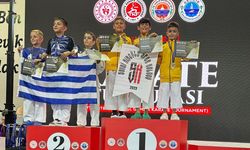 Düzce Karatecileri Gemlik'te Başarıya Koştu