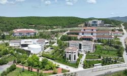 Düzce Üniversitesi'nden önemli bir araştırma başarısı