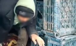 Düzce'de 7 göçmen kaçakçılığı operasyonu
