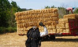 Edirne'de balya sezonunda işçilerin sıcakla mücadelesi
