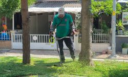 Efeler'de park bakımı hız kesmiyor