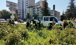 Elazığ Belediyesi, Şehir Genelinde Estetik Çalışmalar Yapıyor