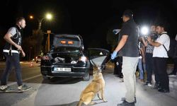 Elazığ'da asayiş denetimleri yoğunlaştı