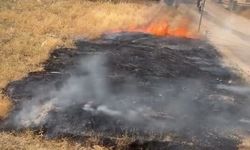 Elazığ'da boş arazide yangın paniği