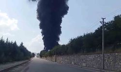 Elazığ'da fabrika alev alev: İtfaiye ekipleri olayda