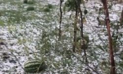 Elazığ'da fırtına ve dolu, tarım arazilerine zarar verdi