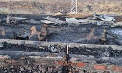 Elazığ'da Yangın, 10 Günlük 3 Gebe İneği Yok Etti
