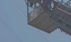 Elazığ'da yaralı leylek itfaiye ekipleri tarafından kurtarıldı