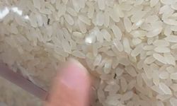 Elazığ'daki markette paketli pirinçte böcek skandalı