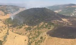 Elazığ'daki orman yangını söndürüldü