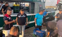 Enez'de trol teknelerine kapsamlı denetim
