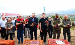 Erbaa Belediyesi, keneye karşı keklik ve sülünleri doğaya saldı