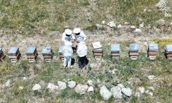 Erzincan'da arıcılar, bal sezonunu heyecanla bekliyor