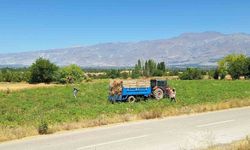 Erzincan'da fasulye hasadı sezonu açıldı