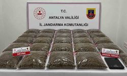 Eş Zamanlı Uyuşturucu Operasyonunda 13 Gözaltı