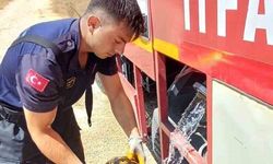Eskişehir'de İtfaiye Ekipleri Alevlerin İçinden Kaplumbağayı Kurtardı