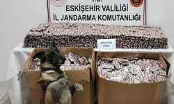 Eskişehir'de Jandarma, 84 Bin Sentetik Ecza Hapı Ele Geçirdi