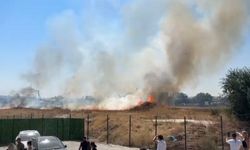 Eskişehir'de Otluk Alanda Yangın Korkuttu