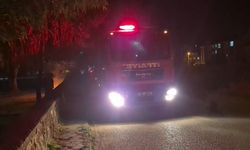Eskişehir'de parkta kasten çıkarılan yangın paniğe neden oldu