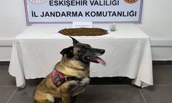 Eskişehir'de uyuşturucu operasyonu: 361 gram bonzai ele geçirildi