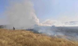 Eskişehir'deki arazi yangını hızla kontrol altına alındı