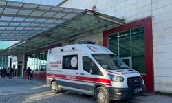Fatsa'da ırmakta boğulma faciası: Kardeşlerden biri hayatını kaybetti