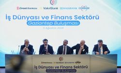 Finansmana Erişimde Gaziantep Modeli Önerisi