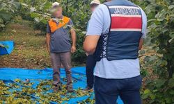 Fındık Tarlalarında Jandarma Güvenliği Artıyor